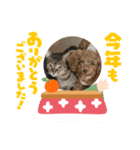 愛月と空パート8（個別スタンプ：2）