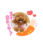 愛月と空パート8（個別スタンプ：5）