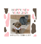 愛月と空パート8（個別スタンプ：8）