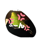 インコちゃん4（個別スタンプ：1）