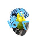 インコちゃん4（個別スタンプ：11）