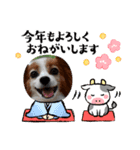 めるのお正月（個別スタンプ：2）