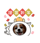 めるのお正月（個別スタンプ：3）