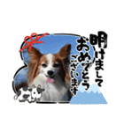 めるのお正月（個別スタンプ：4）