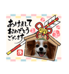 めるのお正月（個別スタンプ：5）