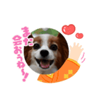 めるのお正月（個別スタンプ：8）