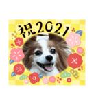 めるのお正月（個別スタンプ：10）