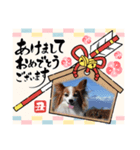 めるのお正月（個別スタンプ：14）