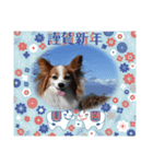 めるのお正月（個別スタンプ：15）