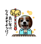 めるのお正月（個別スタンプ：16）