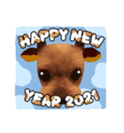 まめたの年末年始（個別スタンプ：1）