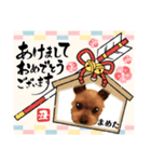 まめたの年末年始（個別スタンプ：6）