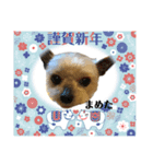 まめたの年末年始（個別スタンプ：9）