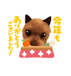 まめたの年末年始（個別スタンプ：12）