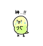 いんこぉ（個別スタンプ：2）