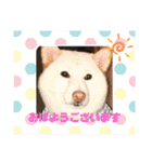 jikyo.y（個別スタンプ：5）