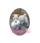 jikyo.y（個別スタンプ：17）