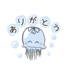 水クラゲ  クゥ〜くん（個別スタンプ：1）