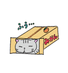 猫のサリュ（個別スタンプ：11）