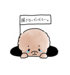 えむわんこ（個別スタンプ：12）