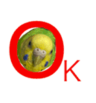 愛しのインコさん♪（個別スタンプ：18）