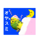 愛しのインコさん♪（個別スタンプ：19）