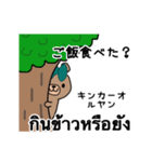 タイ語と日本語♡毎日ゆるっとベア（個別スタンプ：29）