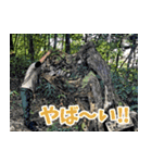 Dの登山記 (日常用)（個別スタンプ：12）