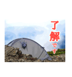Dの登山記 (日常用)（個別スタンプ：14）