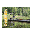 Dの登山記 (日常用)（個別スタンプ：19）