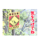 Dの登山記 (日常用)（個別スタンプ：21）