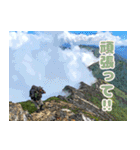 Dの登山記 (日常用)（個別スタンプ：22）