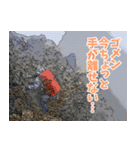 Dの登山記 (日常用)（個別スタンプ：27）