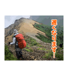 Dの登山記 (日常用)（個別スタンプ：29）
