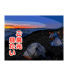 Dの登山記 (日常用)（個別スタンプ：36）