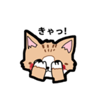 ニャンニャンの日常（個別スタンプ：2）