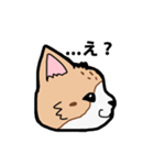 ニャンニャンの日常（個別スタンプ：3）