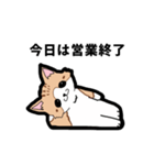 ニャンニャンの日常（個別スタンプ：8）