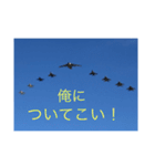 戦闘機の写真で伝える日常会話♬パート2（個別スタンプ：1）