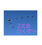 戦闘機の写真で伝える日常会話♬パート2（個別スタンプ：5）