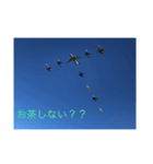 戦闘機の写真で伝える日常会話♬パート2（個別スタンプ：6）