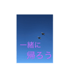 戦闘機の写真で伝える日常会話♬パート2（個別スタンプ：9）