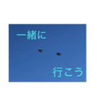 戦闘機の写真で伝える日常会話♬パート2（個別スタンプ：10）