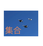 戦闘機の写真で伝える日常会話♬パート2（個別スタンプ：11）