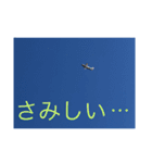 戦闘機の写真で伝える日常会話♬パート2（個別スタンプ：13）