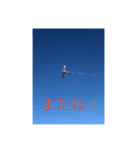 戦闘機の写真で伝える日常会話♬パート2（個別スタンプ：14）