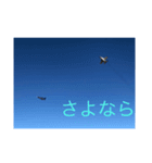 戦闘機の写真で伝える日常会話♬パート2（個別スタンプ：15）