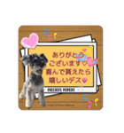 Jackの日常スタンプ 5（個別スタンプ：5）