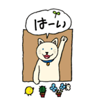 ねことワンコの新年スタンプ【BIG】サイズ（個別スタンプ：19）