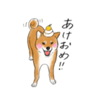 柴犬こたろうの年末年始（個別スタンプ：5）